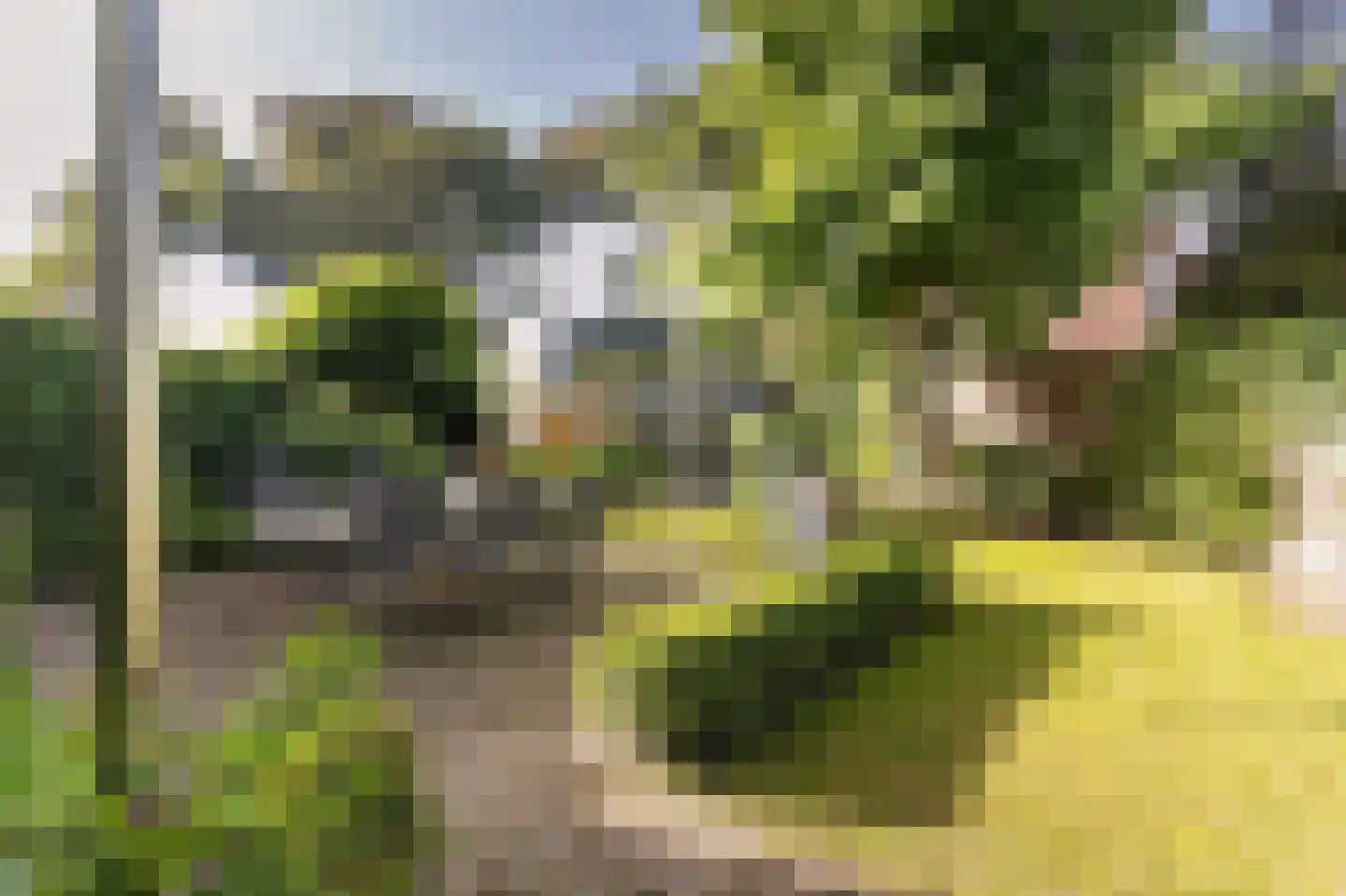 Rijksstraatweg 361 Beek thumbnail 52
