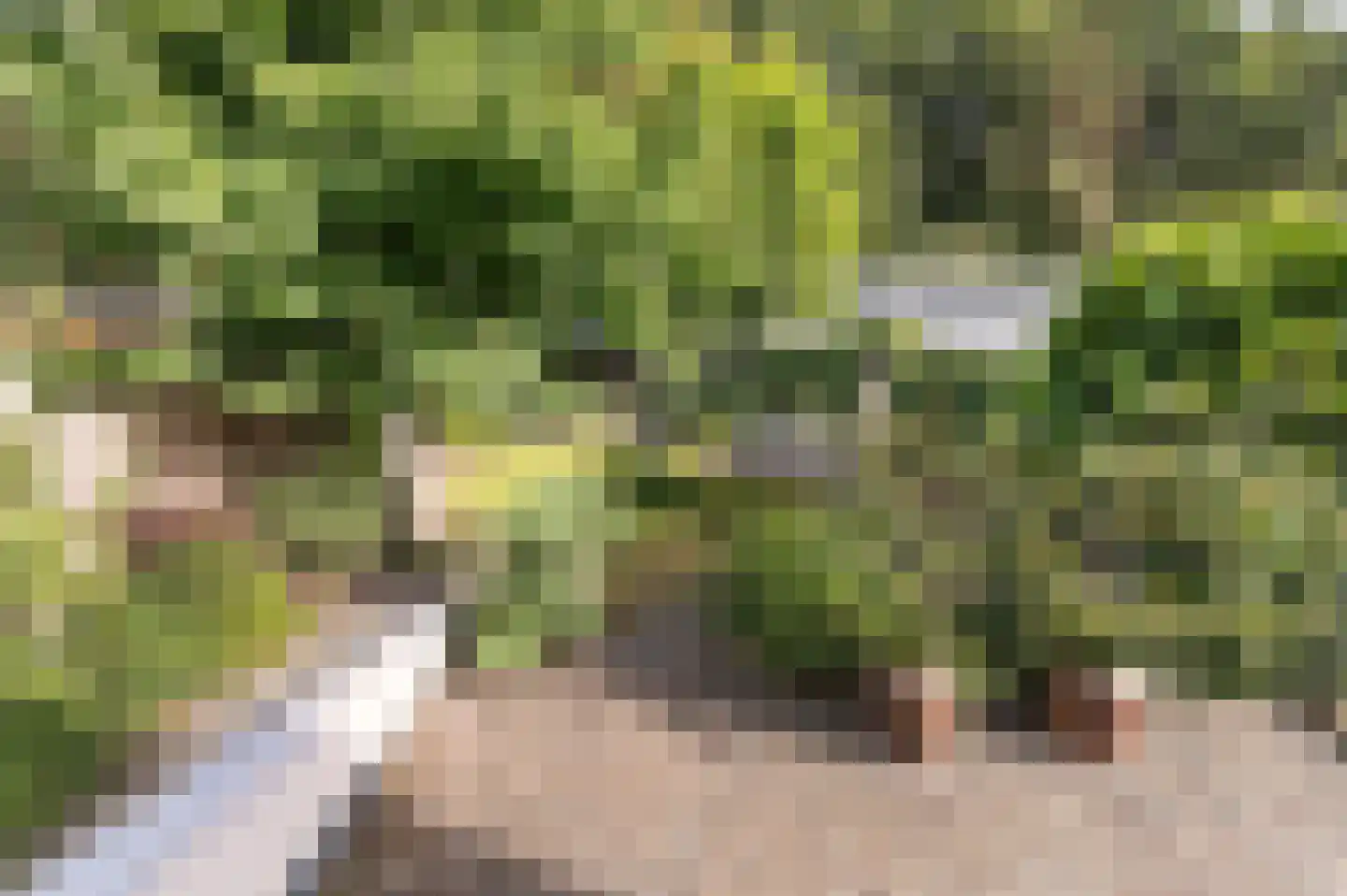 Rijksstraatweg 361 Beek thumbnail 53