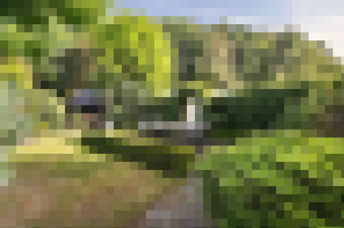 Rijksstraatweg 361 Beek thumbnail 54