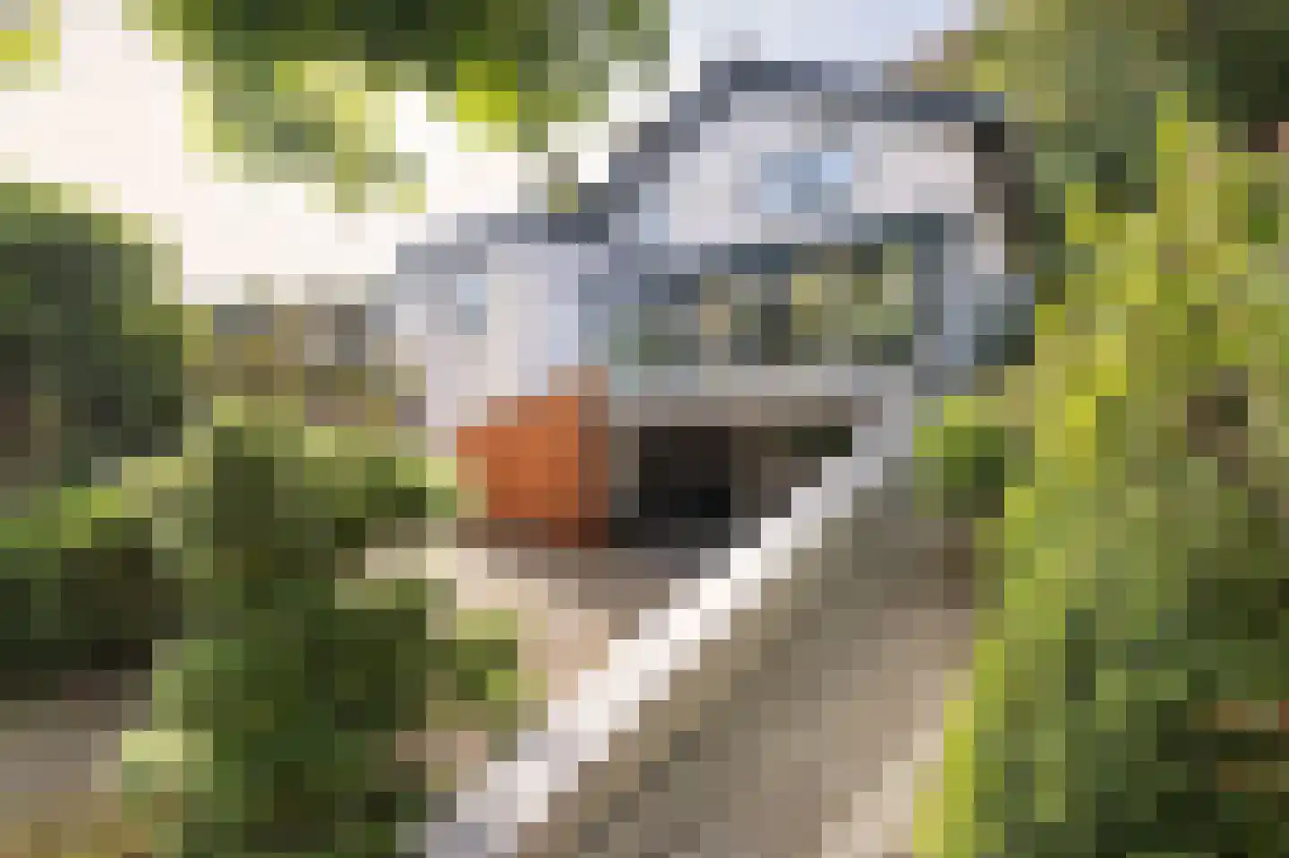 Rijksstraatweg 361 Beek thumbnail 6