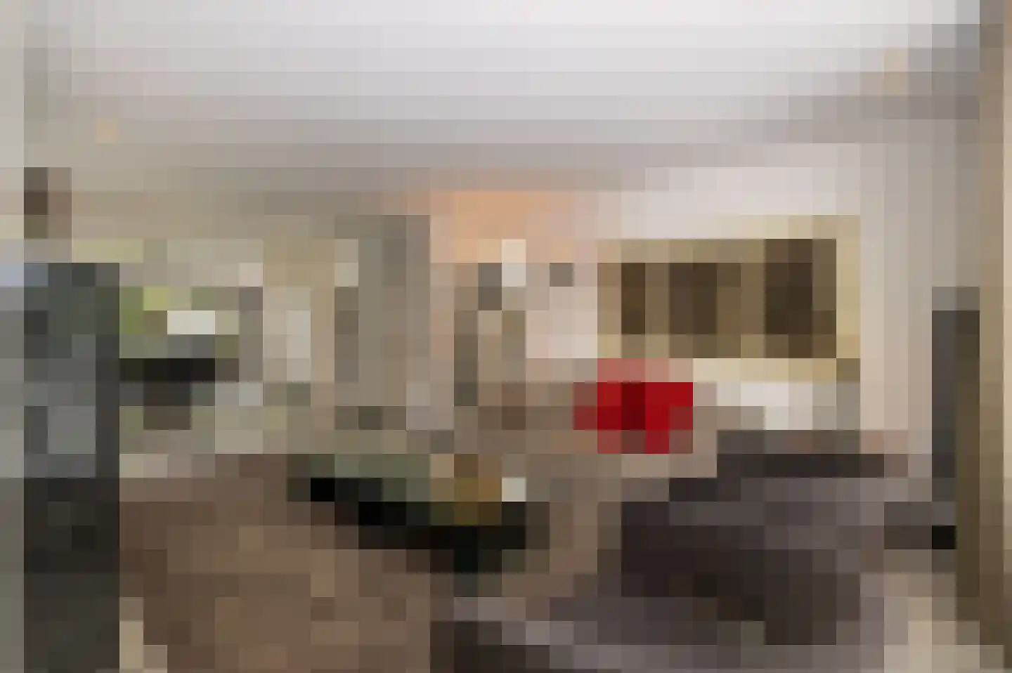 Rijksstraatweg 361 Beek thumbnail 7