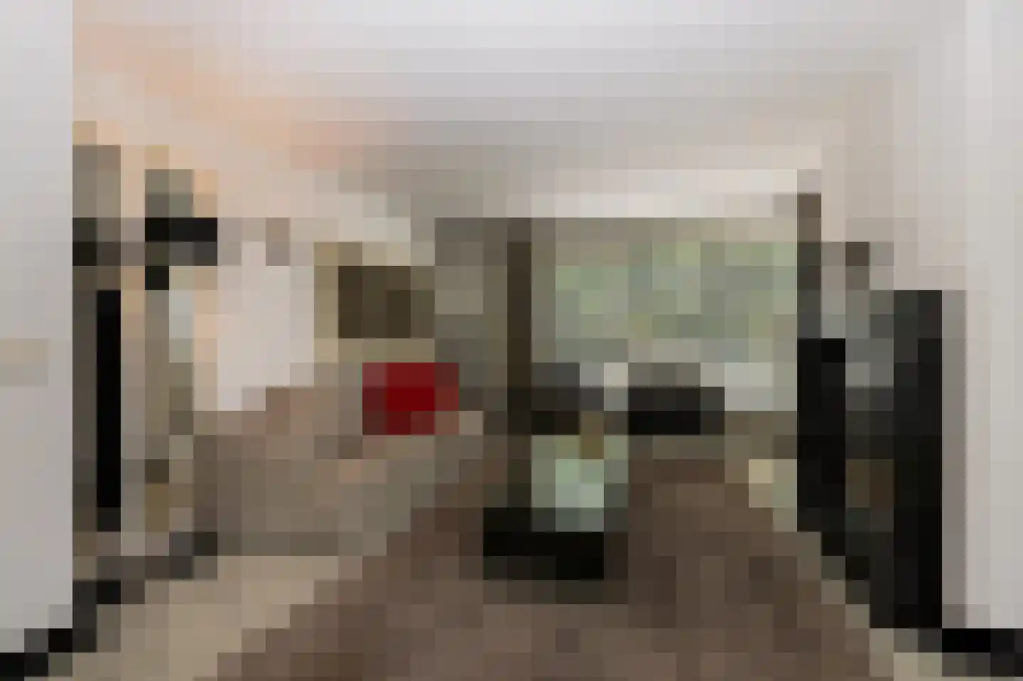 Rijksstraatweg 361 Beek thumbnail 9