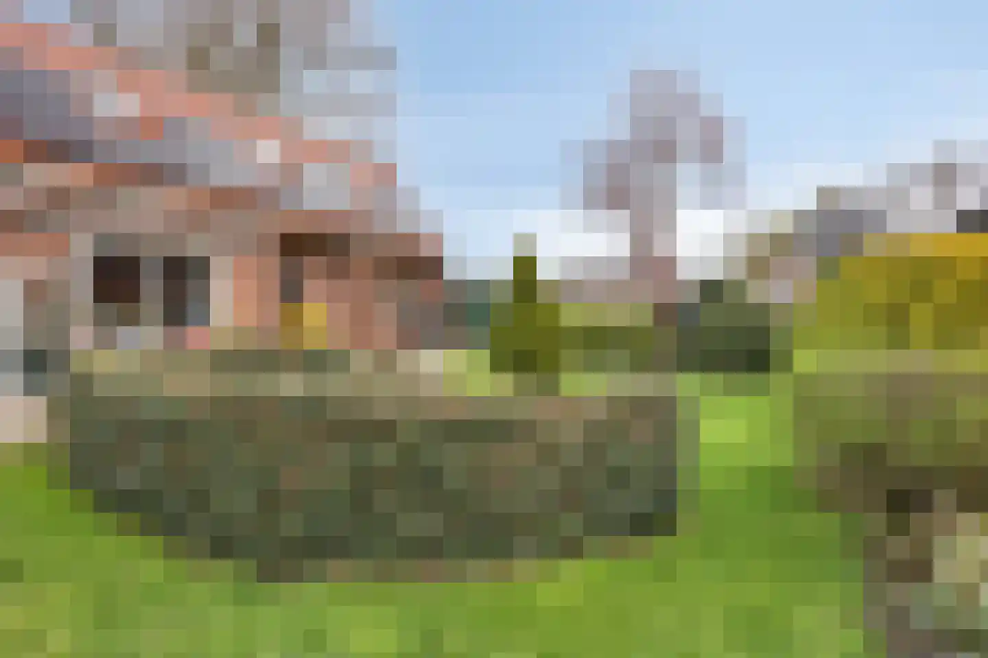 Rijksstraatweg 38 Hurdegaryp thumbnail 11