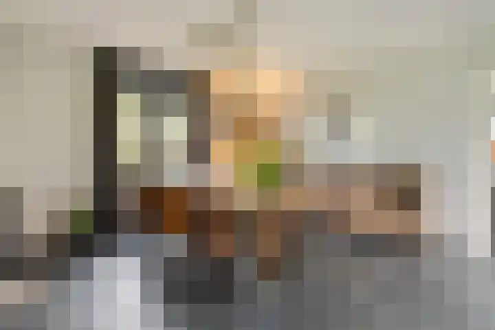 Rijksstraatweg 38 Olst thumbnail 13