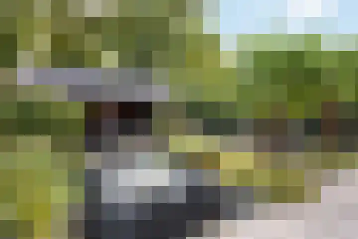 Rijksstraatweg 38 Olst thumbnail 37