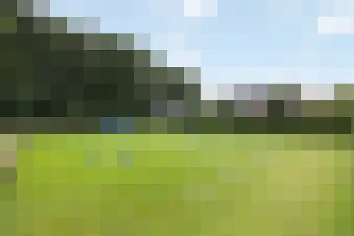 Rijksstraatweg 38 Olst thumbnail 54
