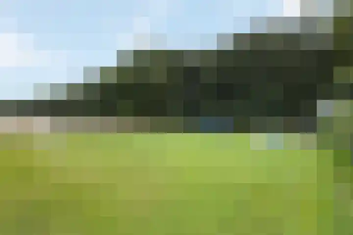 Rijksstraatweg 38 Olst thumbnail 55