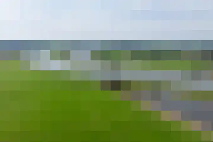 Rijksstraatweg 38 Olst thumbnail 59