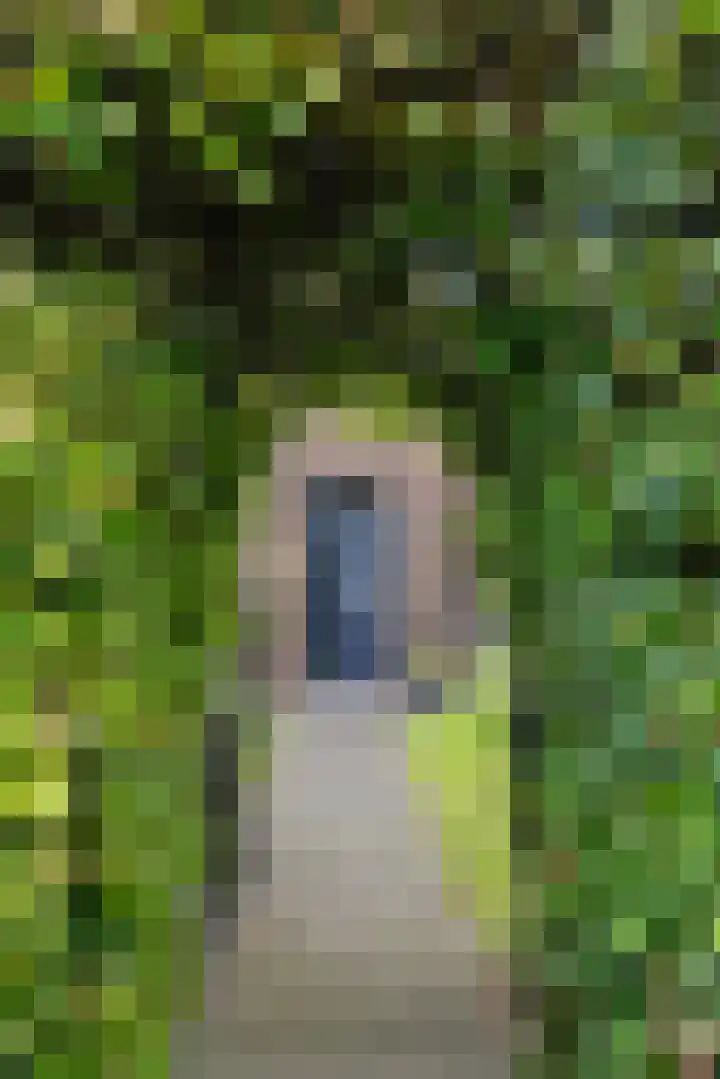 Rijksstraatweg 38 Olst thumbnail 9
