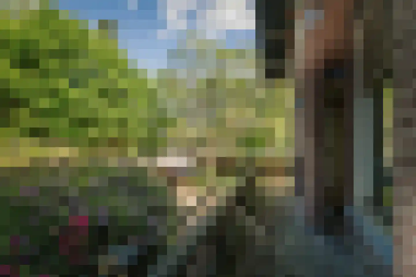 Rijksstraatweg 38 Twello thumbnail 55