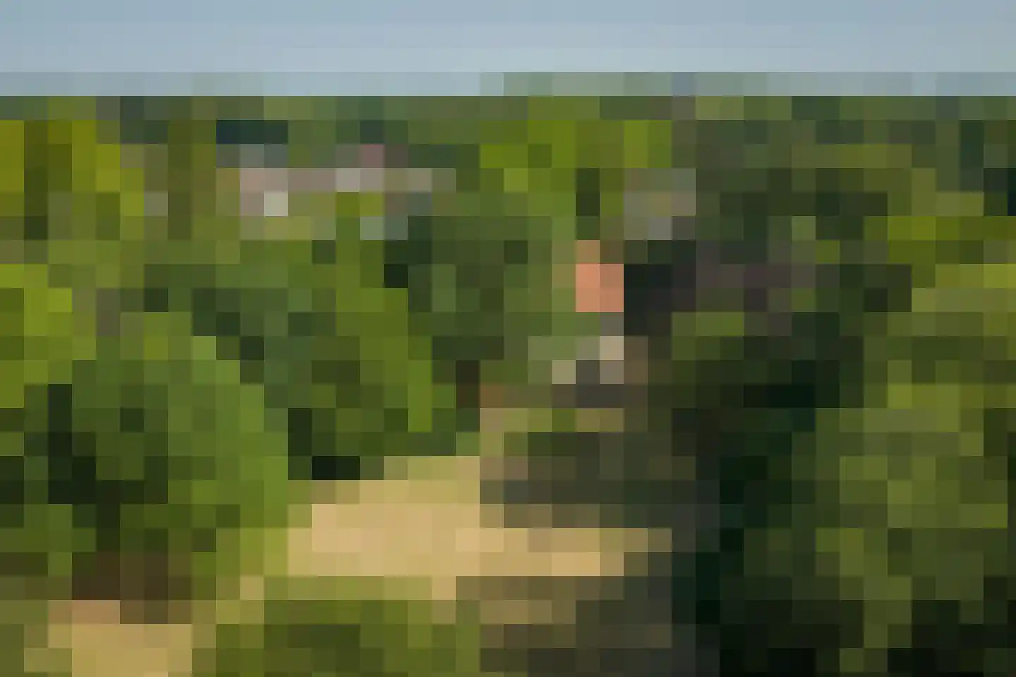Rijksstraatweg 38 Twello thumbnail 56