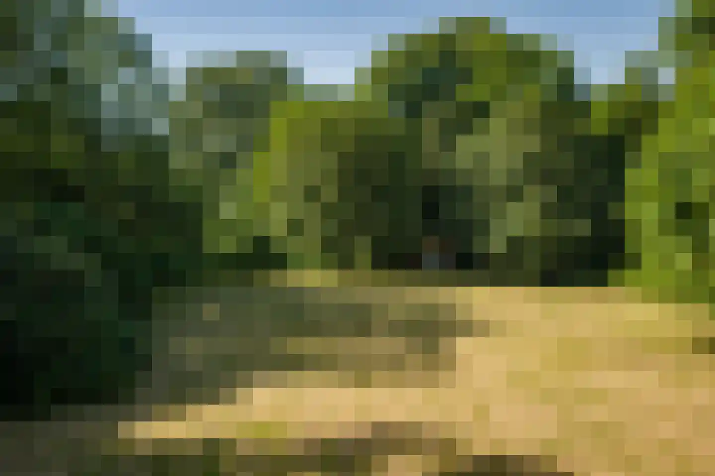 Rijksstraatweg 38 Twello thumbnail 57
