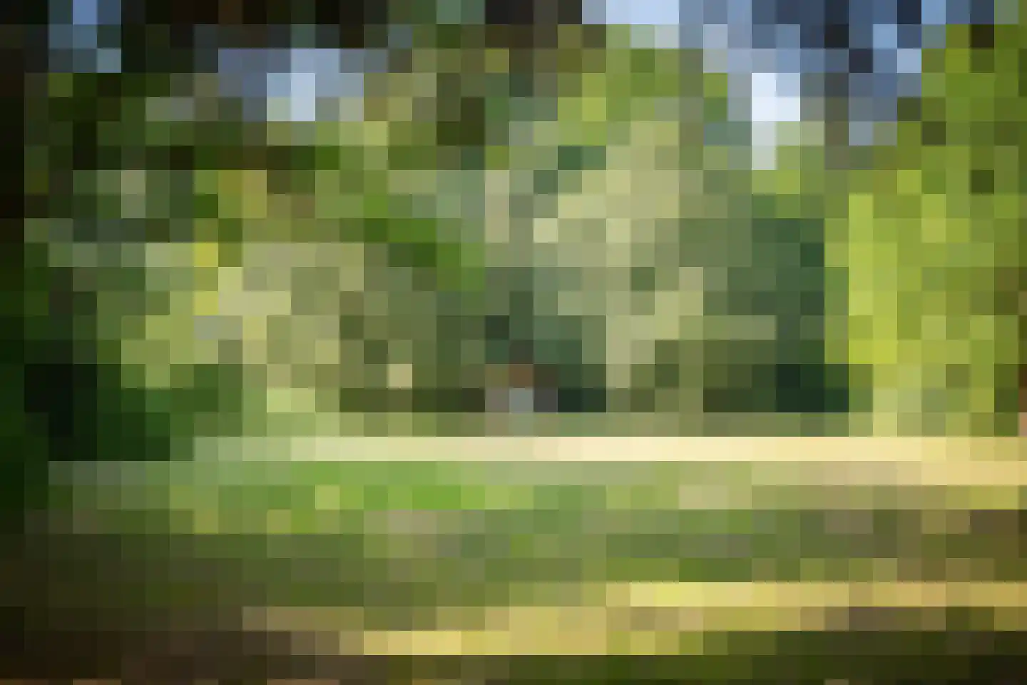 Rijksstraatweg 38 Twello thumbnail 58