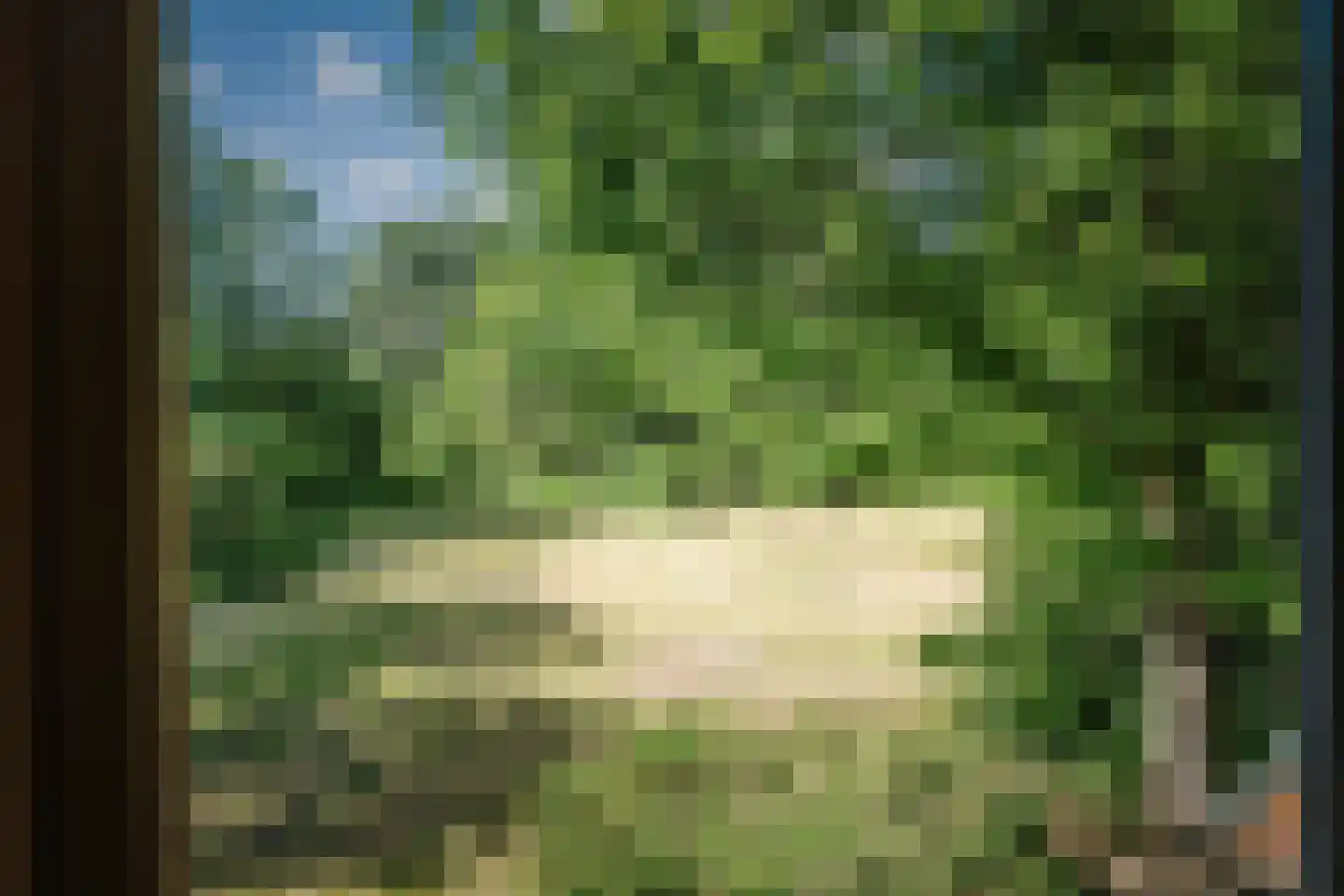 Rijksstraatweg 38 Twello thumbnail 59