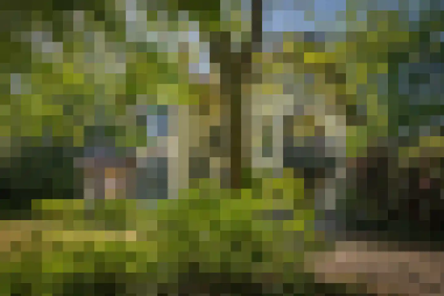Rijksstraatweg 38 Twello thumbnail 71