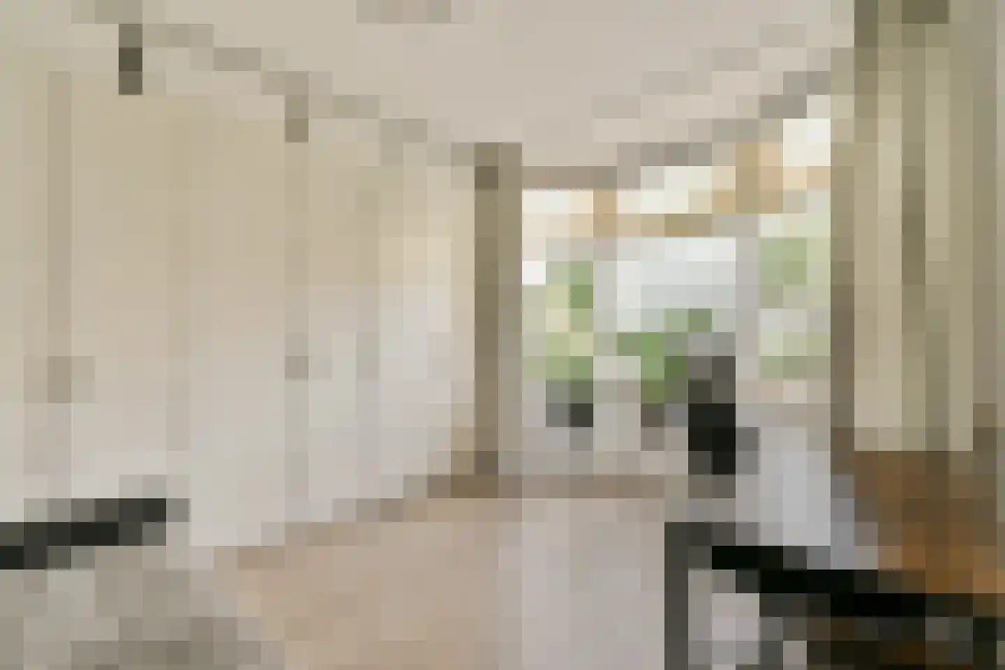Rijksstraatweg 39 Duivendrecht thumbnail 10