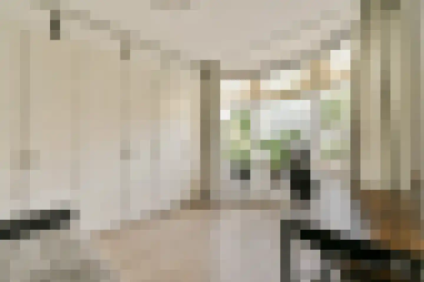 Rijksstraatweg 39 Duivendrecht thumbnail 10