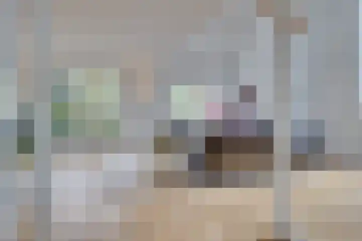 Rijksstraatweg 4 Nieuwersluis thumbnail 21