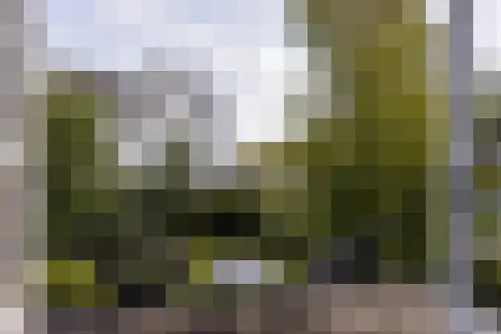 Rijksstraatweg 4 Nieuwersluis thumbnail 38