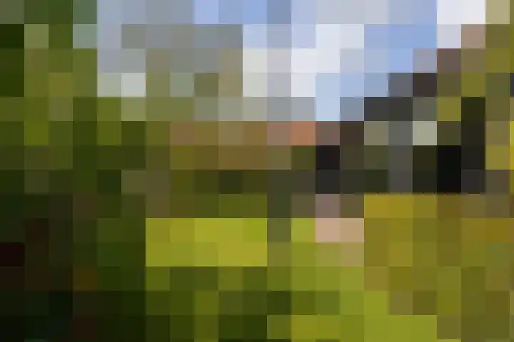 Rijksstraatweg 4 Nieuwersluis thumbnail 46