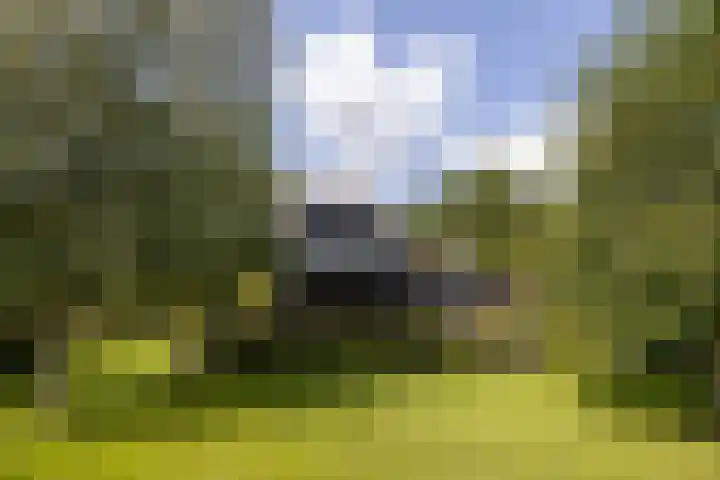 Rijksstraatweg 4 Nieuwersluis thumbnail 5