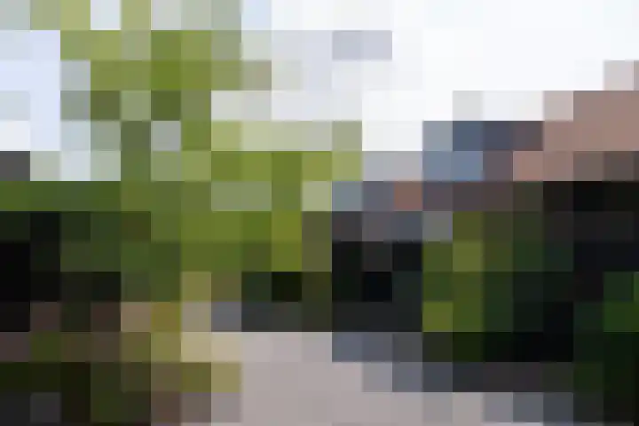 Rijksstraatweg 4 Nieuwersluis thumbnail 51
