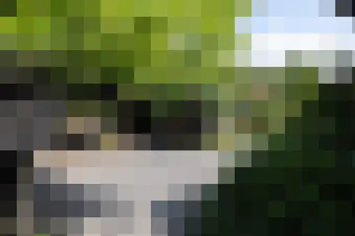 Rijksstraatweg 4 Nieuwersluis thumbnail 53