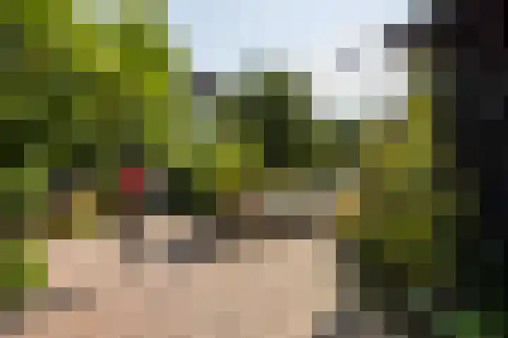 Rijksstraatweg 4 Nieuwersluis thumbnail 57