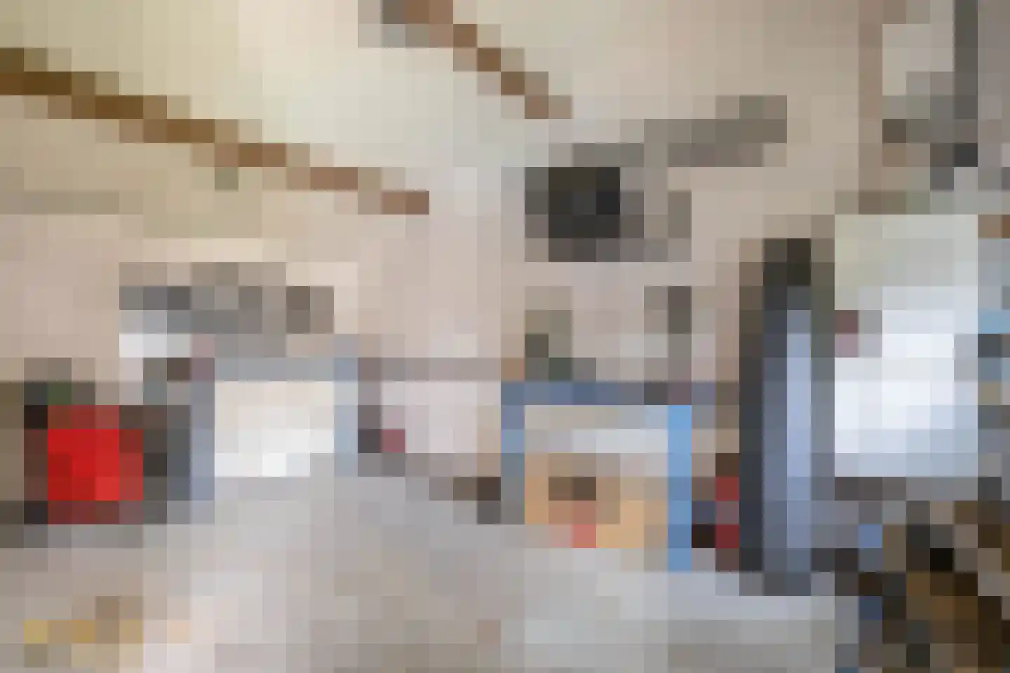 Rijksstraatweg 41 Lomm thumbnail 37