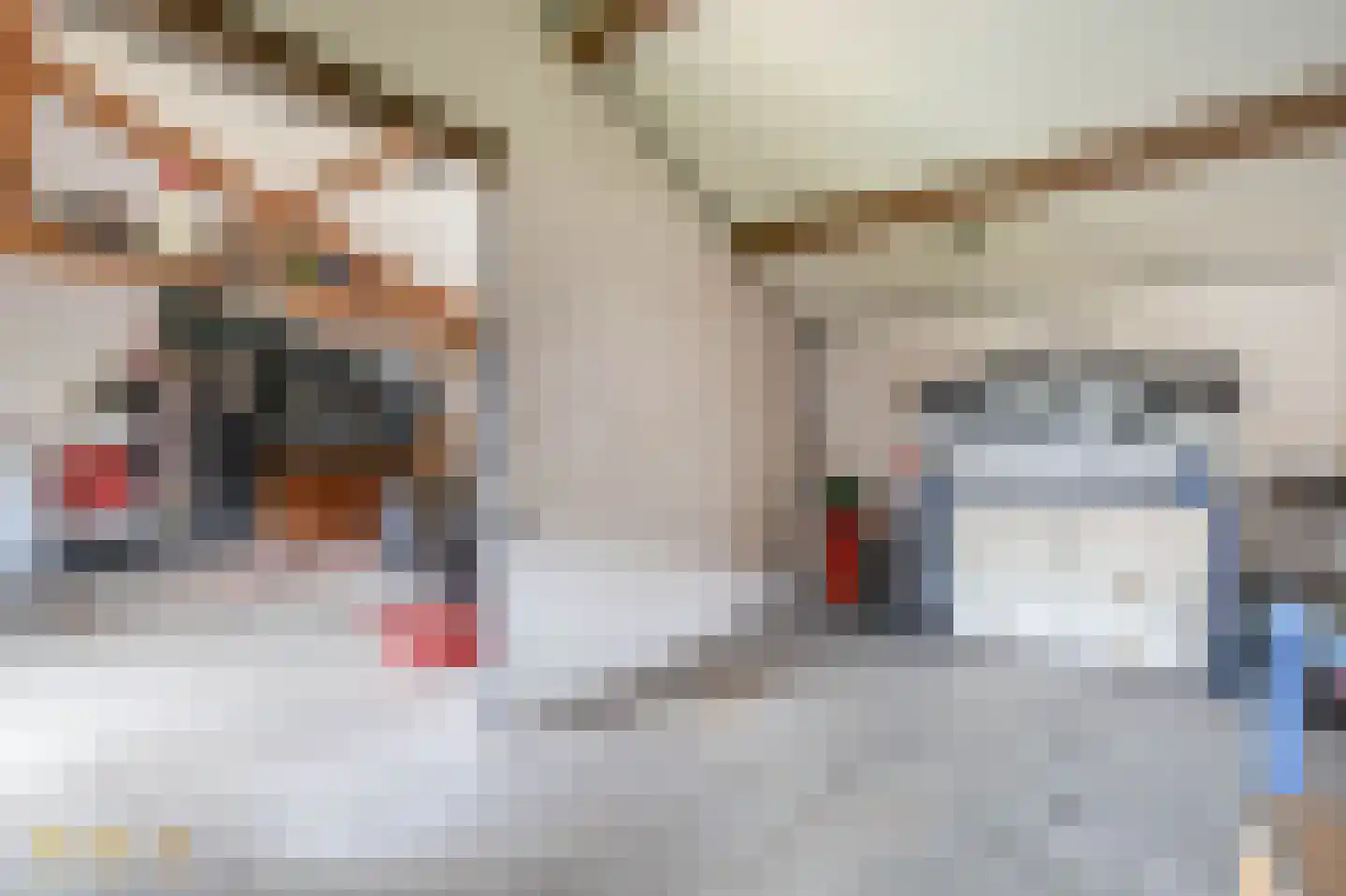 Rijksstraatweg 41 Lomm thumbnail 38