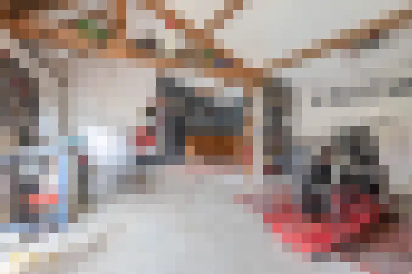 Rijksstraatweg 41 Lomm thumbnail 39