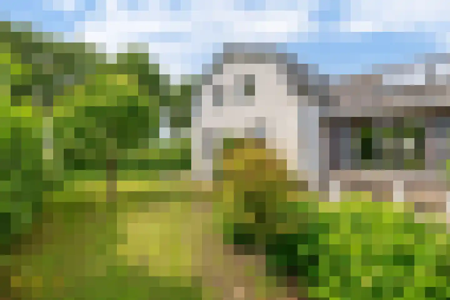 Rijksstraatweg 41 Lomm thumbnail 45