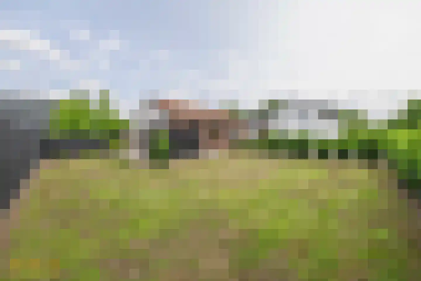 Rijksstraatweg 41 Lomm thumbnail 50