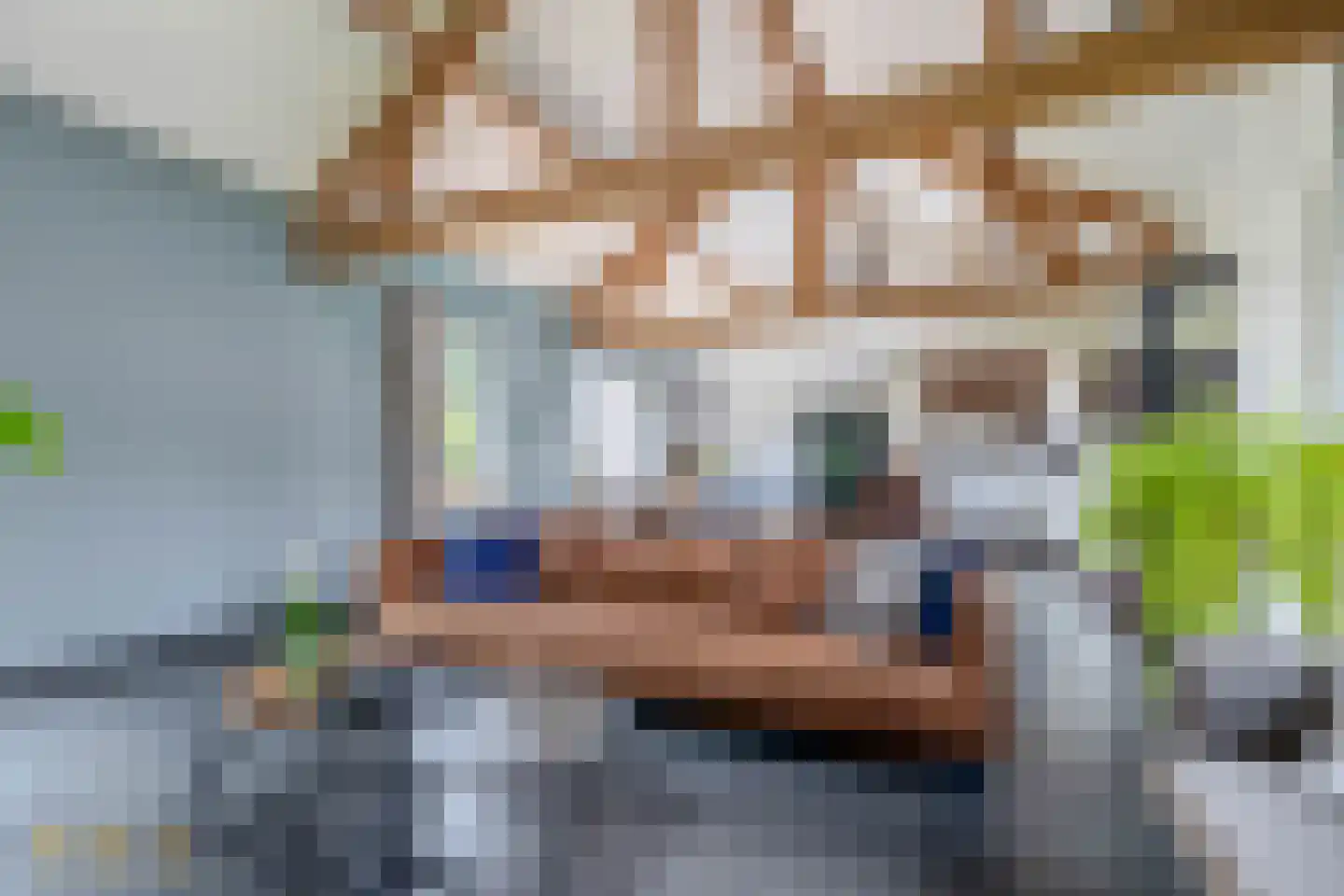Rijksstraatweg 41 Lomm thumbnail 6