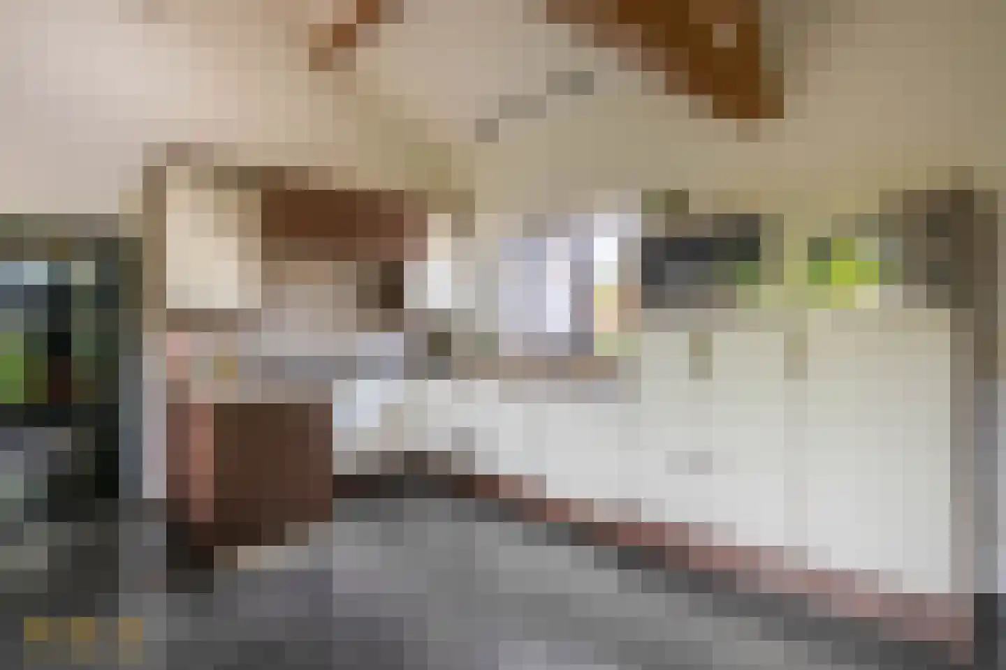Rijksstraatweg 41 Lomm thumbnail 7