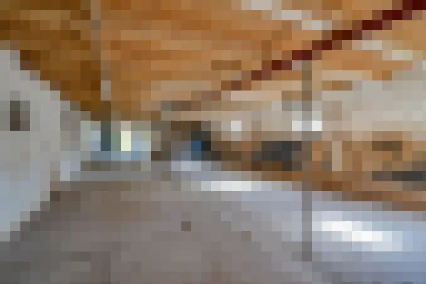 Rijksstraatweg 44 De Meern thumbnail 41