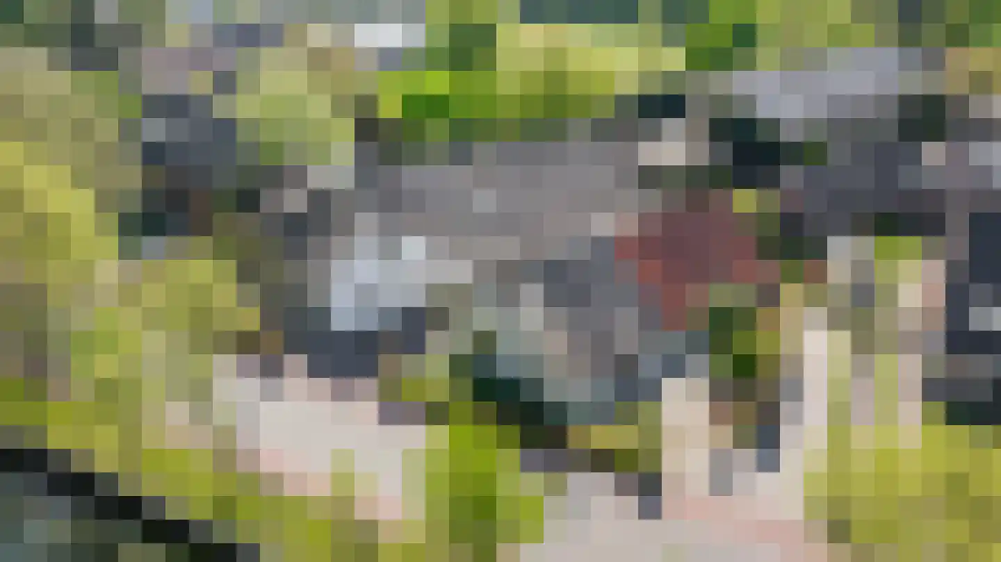 Rijksstraatweg 44 De Meern thumbnail 5
