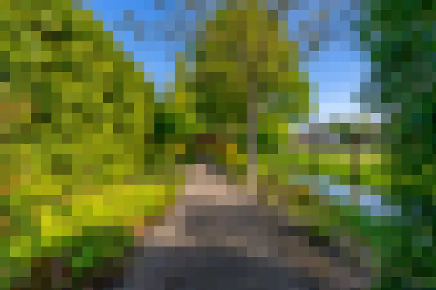 Rijksstraatweg 44 De Meern thumbnail 50