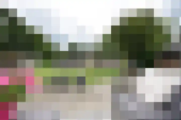 Rijksstraatweg 44 Noardburgum thumbnail 10