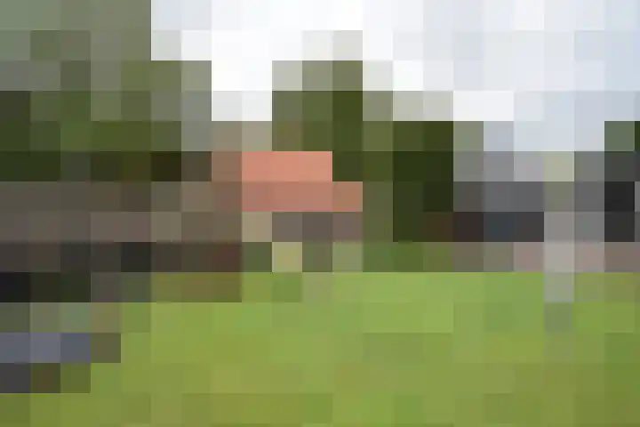 Rijksstraatweg 44 Noardburgum thumbnail 12