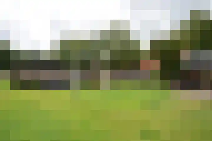 Rijksstraatweg 44 Noardburgum thumbnail 9