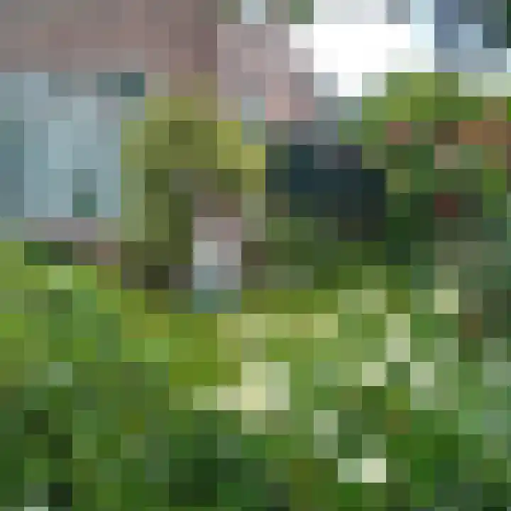Rijksstraatweg 47 Duivendrecht thumbnail 4