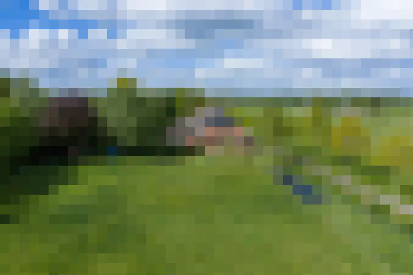 Rijksstraatweg 47 Haren Gn thumbnail 4