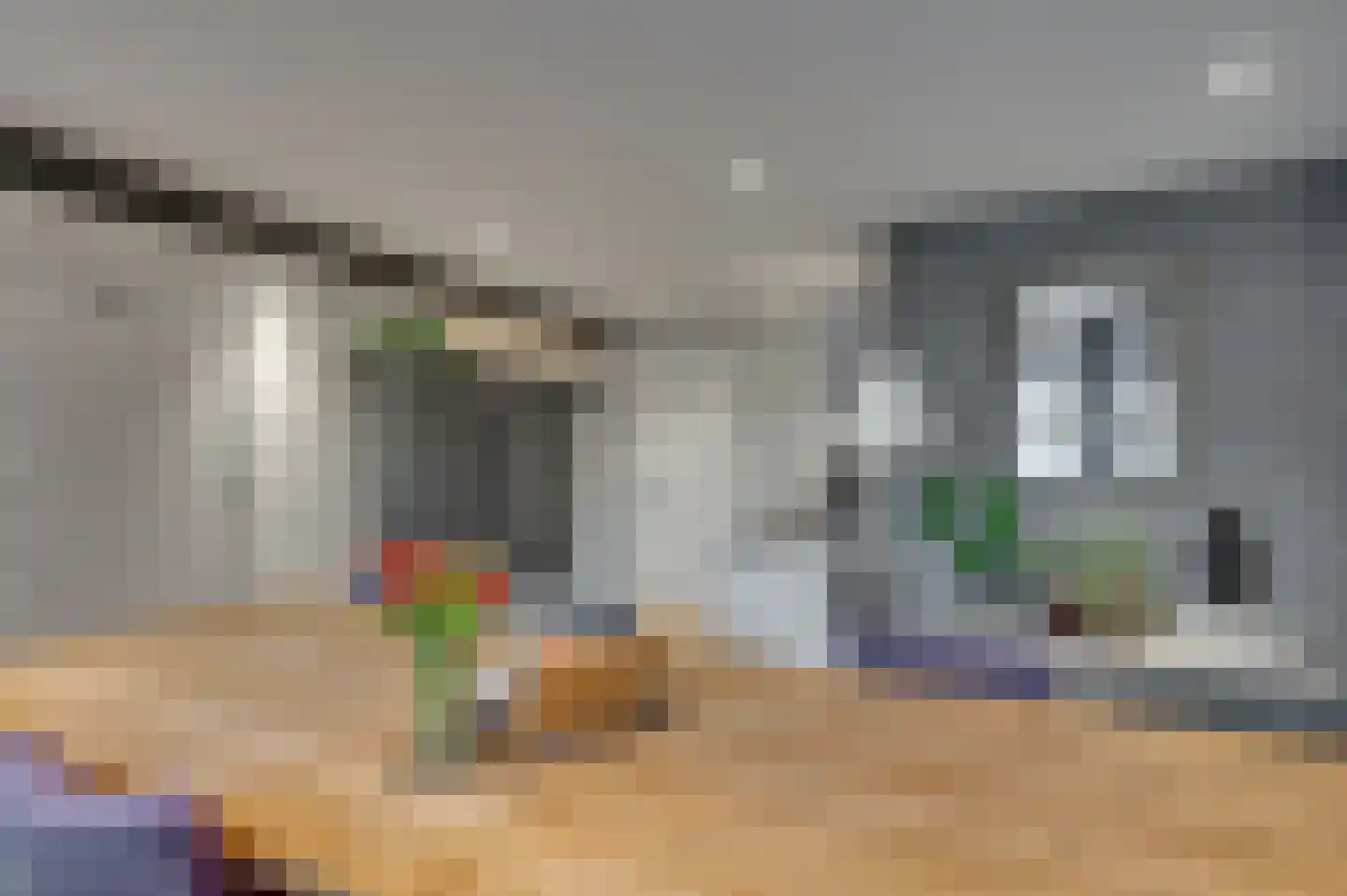 Rijksstraatweg 49 Lomm thumbnail 31