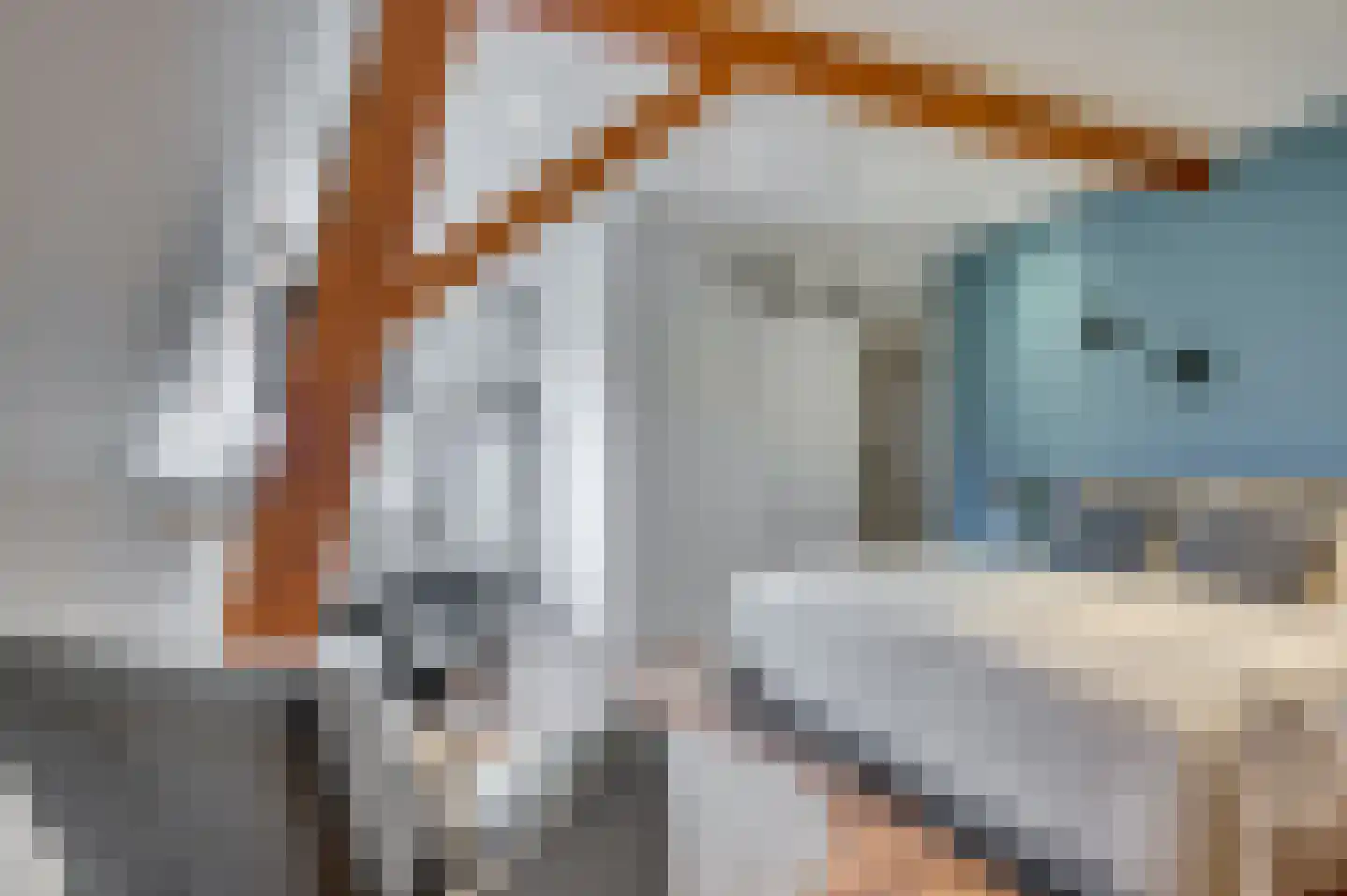 Rijksstraatweg 49 Lomm thumbnail 33