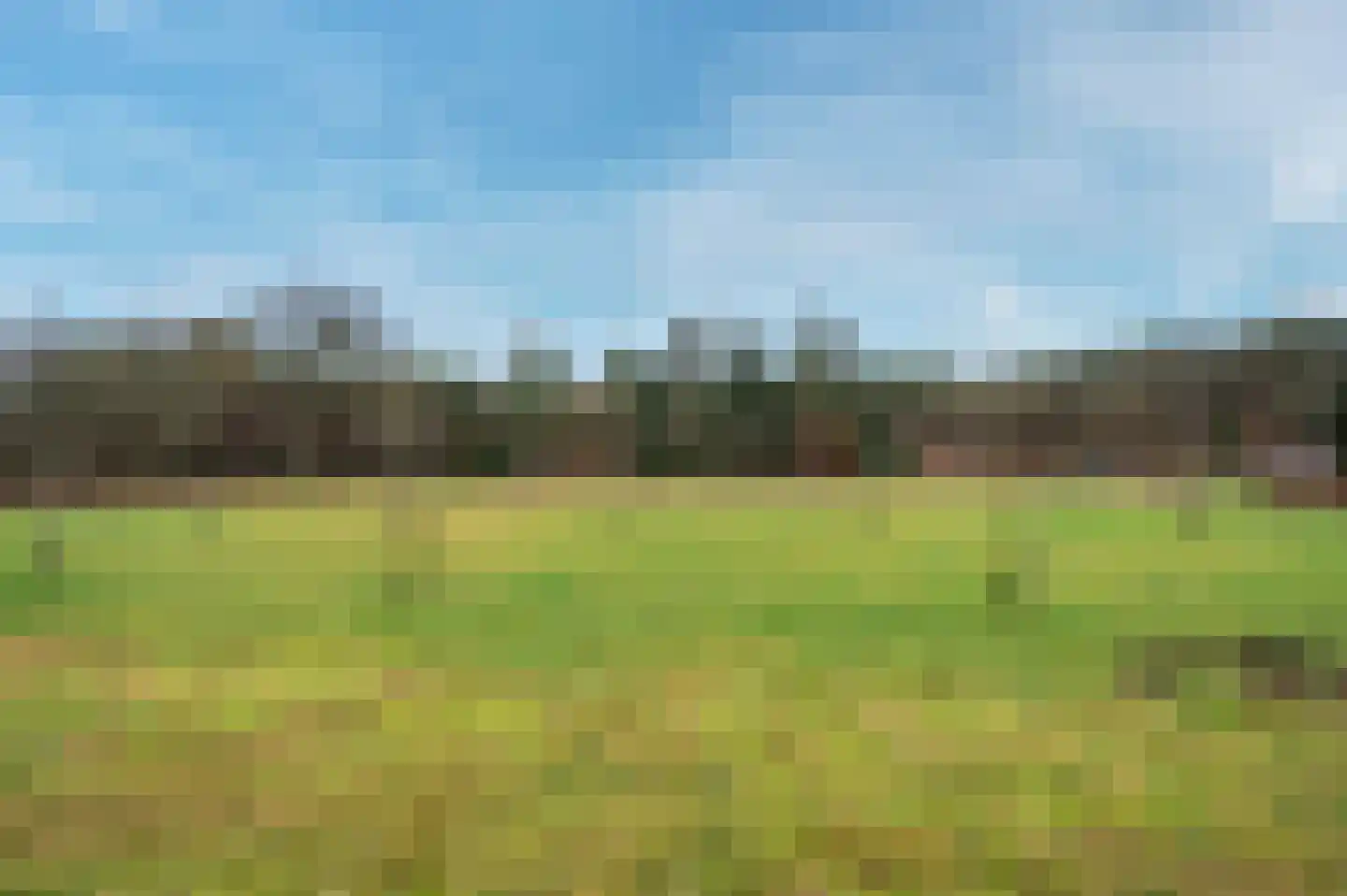 Rijksstraatweg 49 Lomm thumbnail 39
