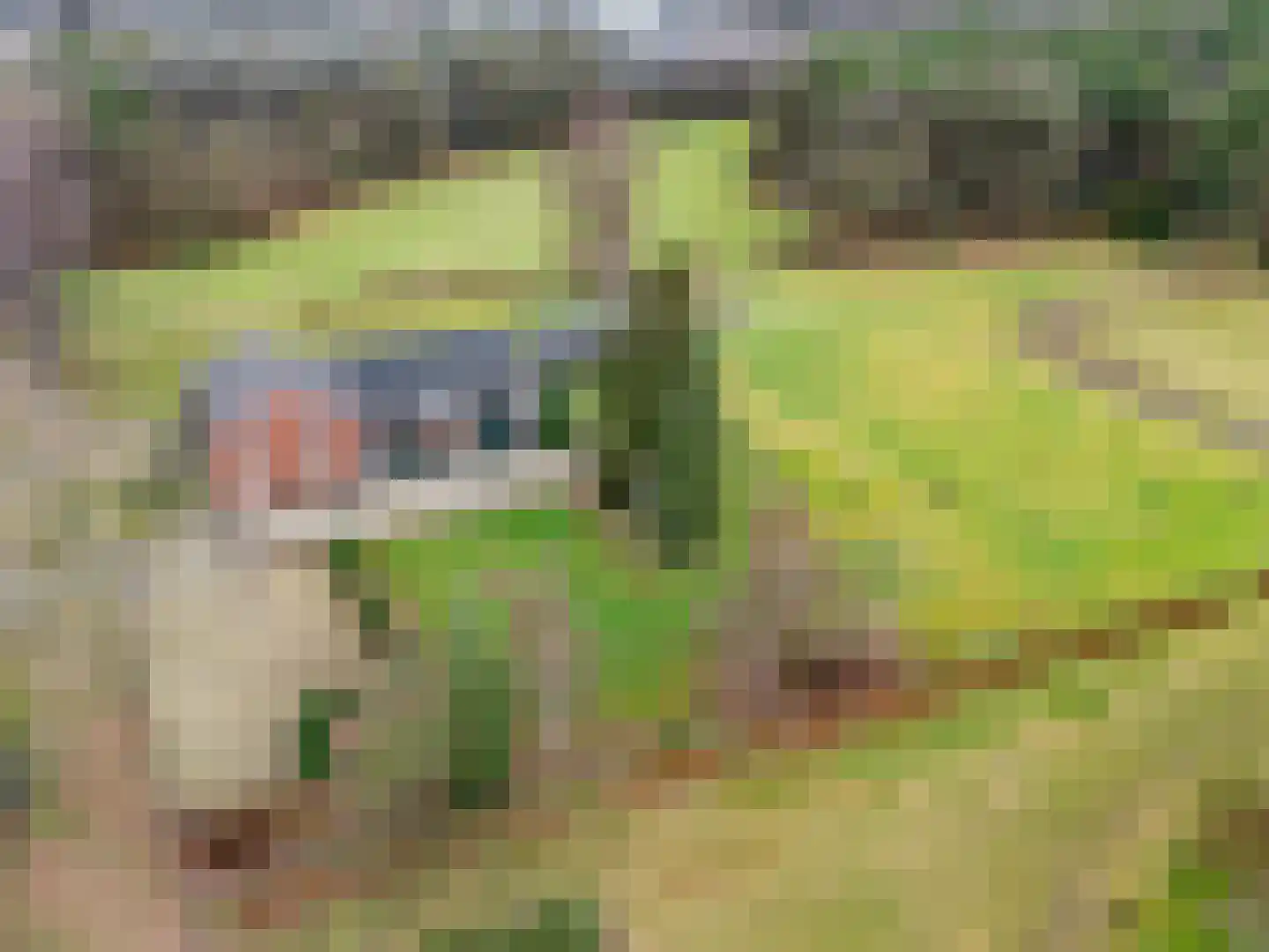 Rijksstraatweg 49 Lomm thumbnail 4