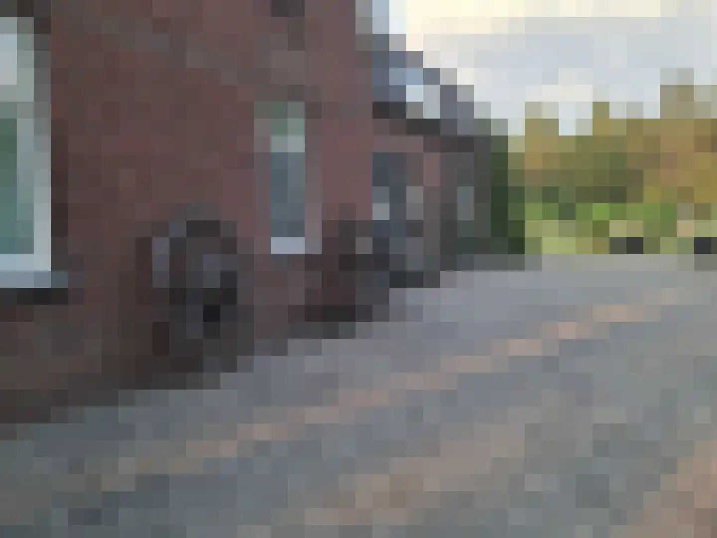 Rijksstraatweg 49 Lomm thumbnail 42