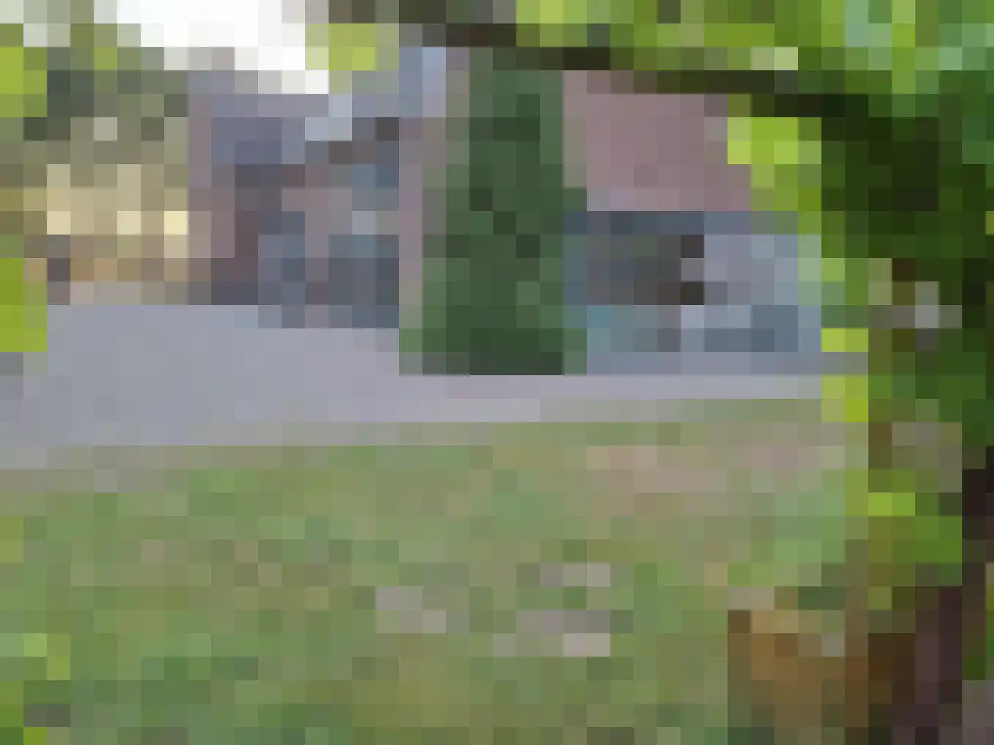 Rijksstraatweg 49 Lomm thumbnail 44