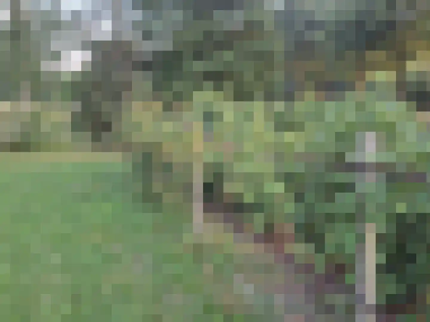 Rijksstraatweg 49 Lomm thumbnail 47
